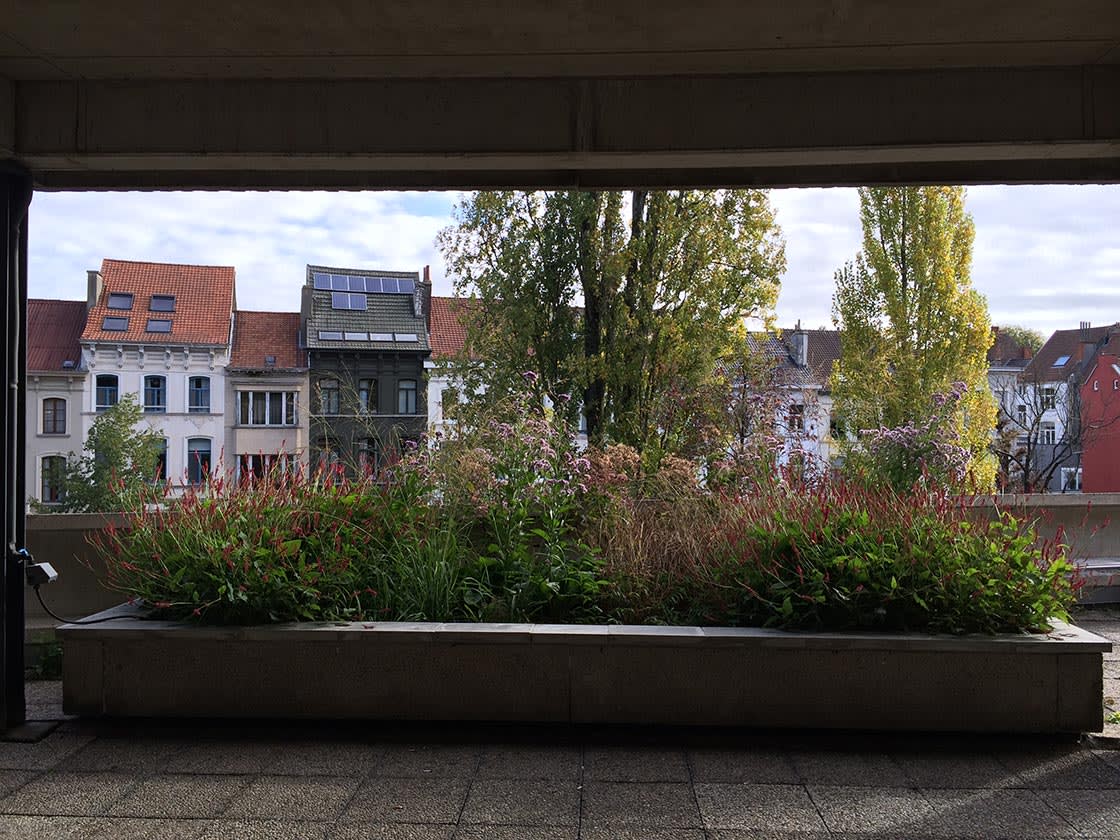 Semi-intensief groendak in Gent, foto 3