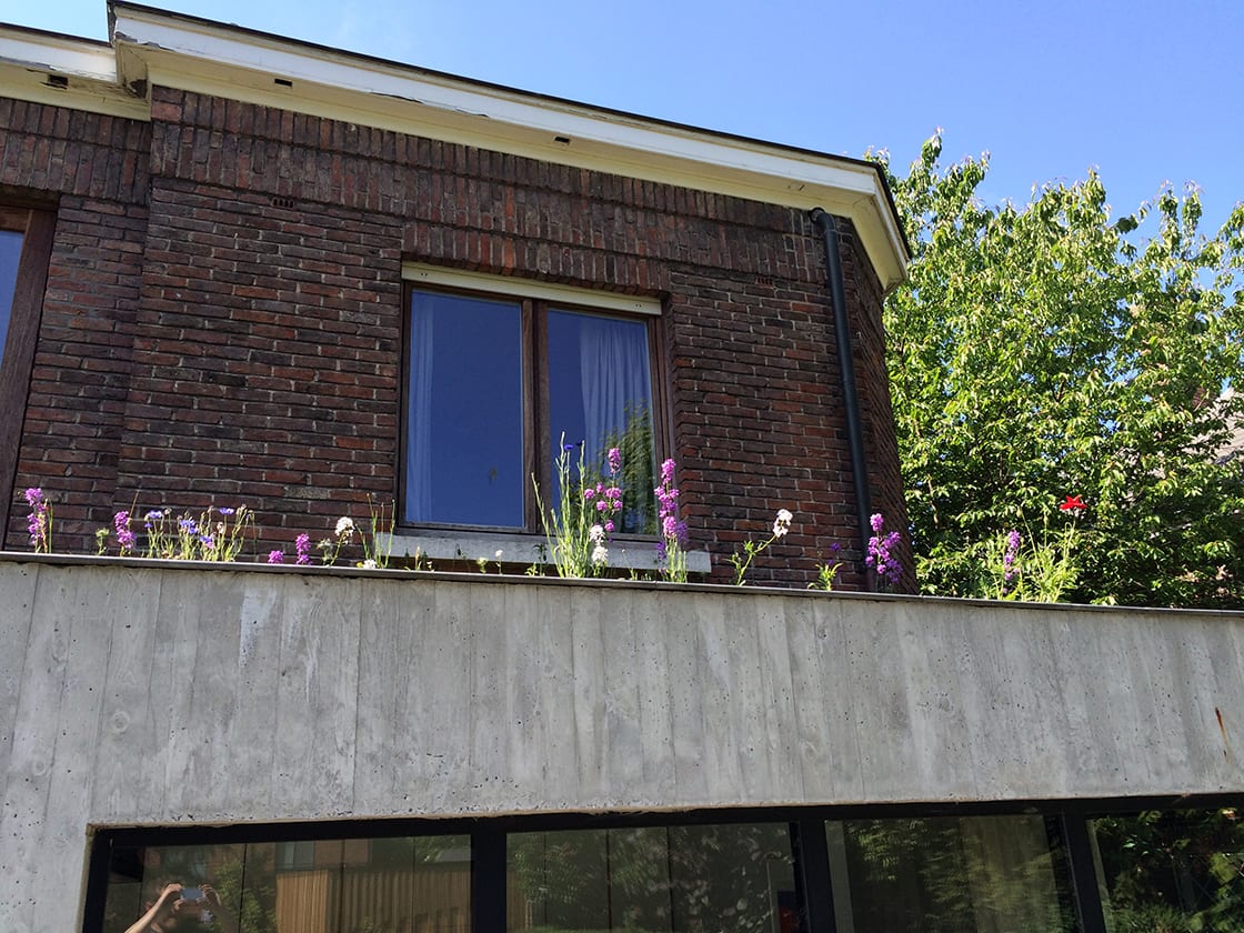 Semi-intensief groendak in Gent, foto 8