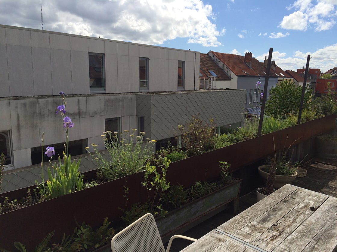 Semi-intensief groendak in Gent, foto 12