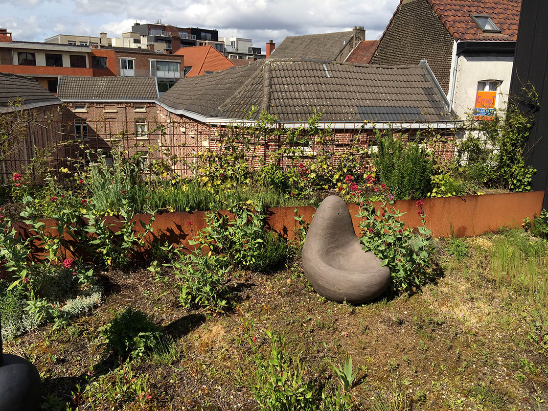 Semi-intensief groendak in Gent, foto 16
