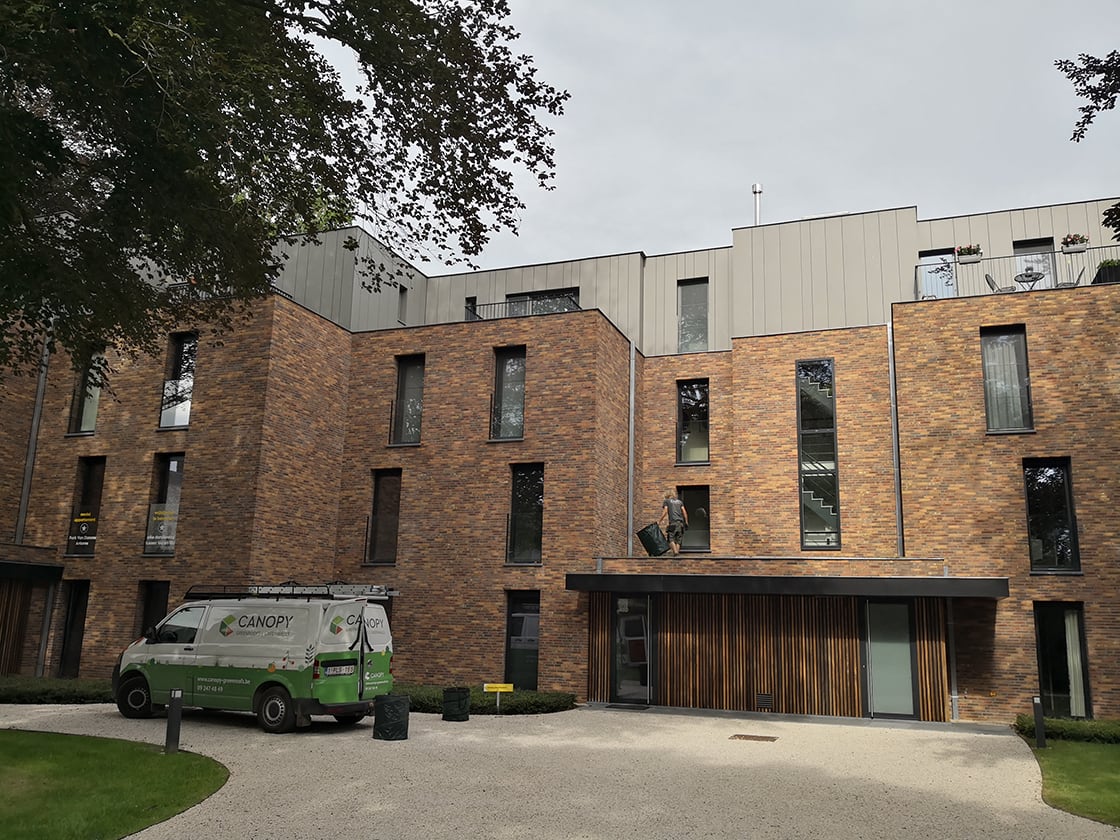 Sedumdak in Eeklo, foto 4