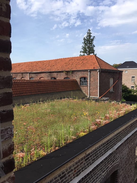 Natuurdak in Ronse, foto 2