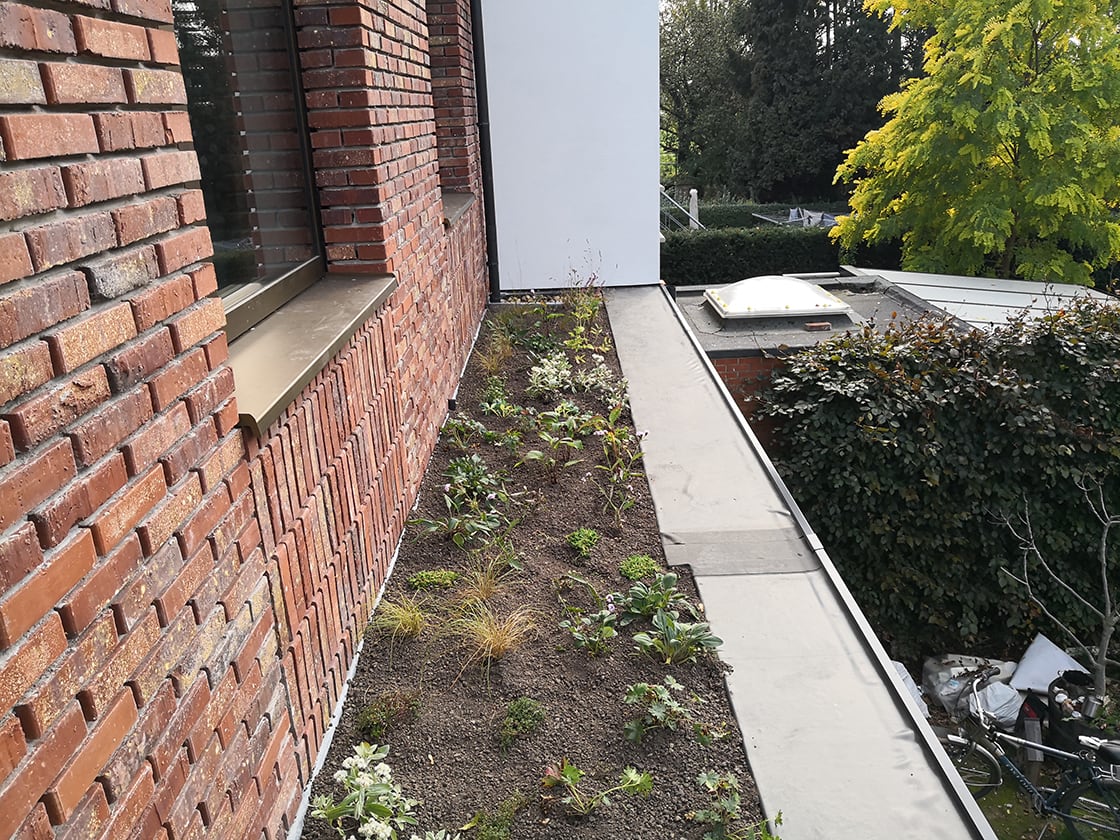 Natuurdak in Deurne, foto 6