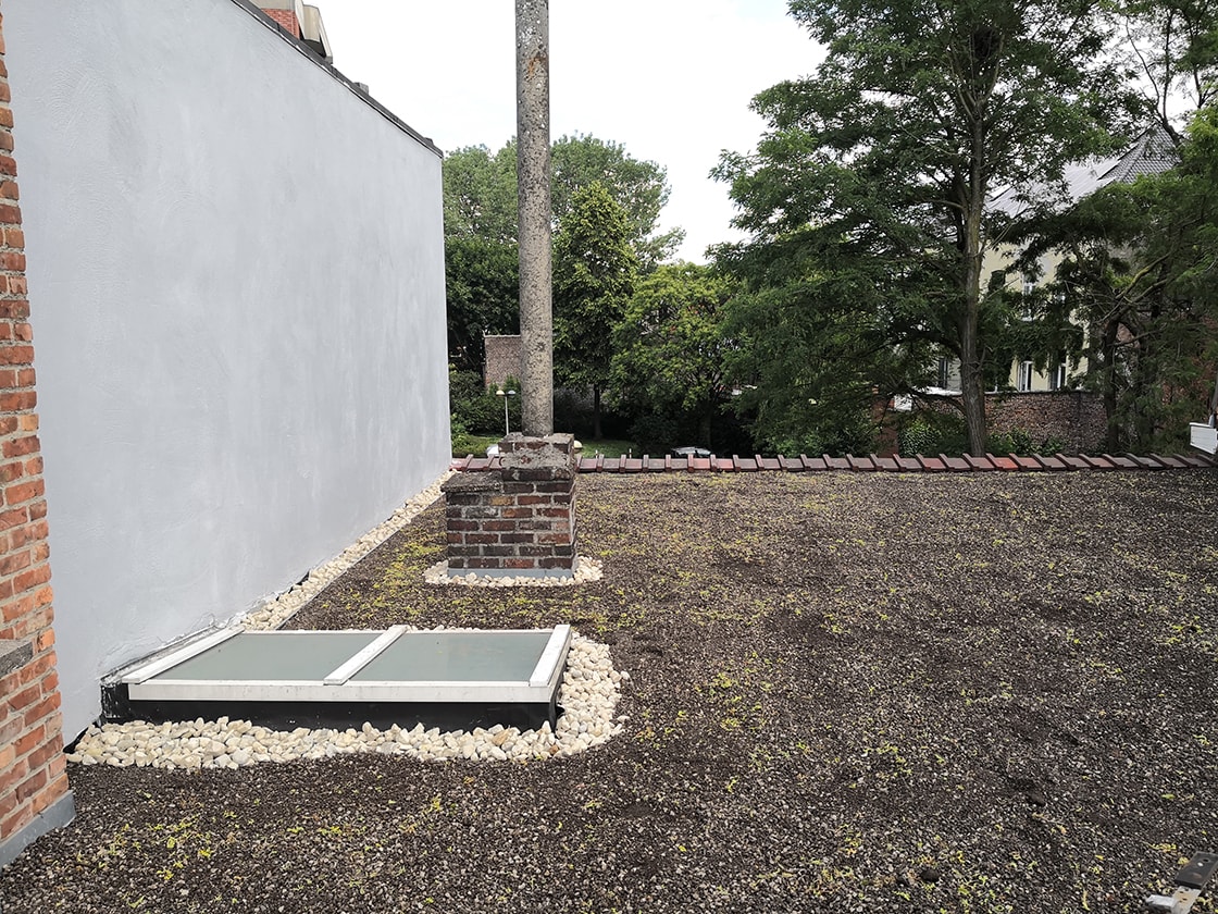 Sedumdak in Gent, foto 2