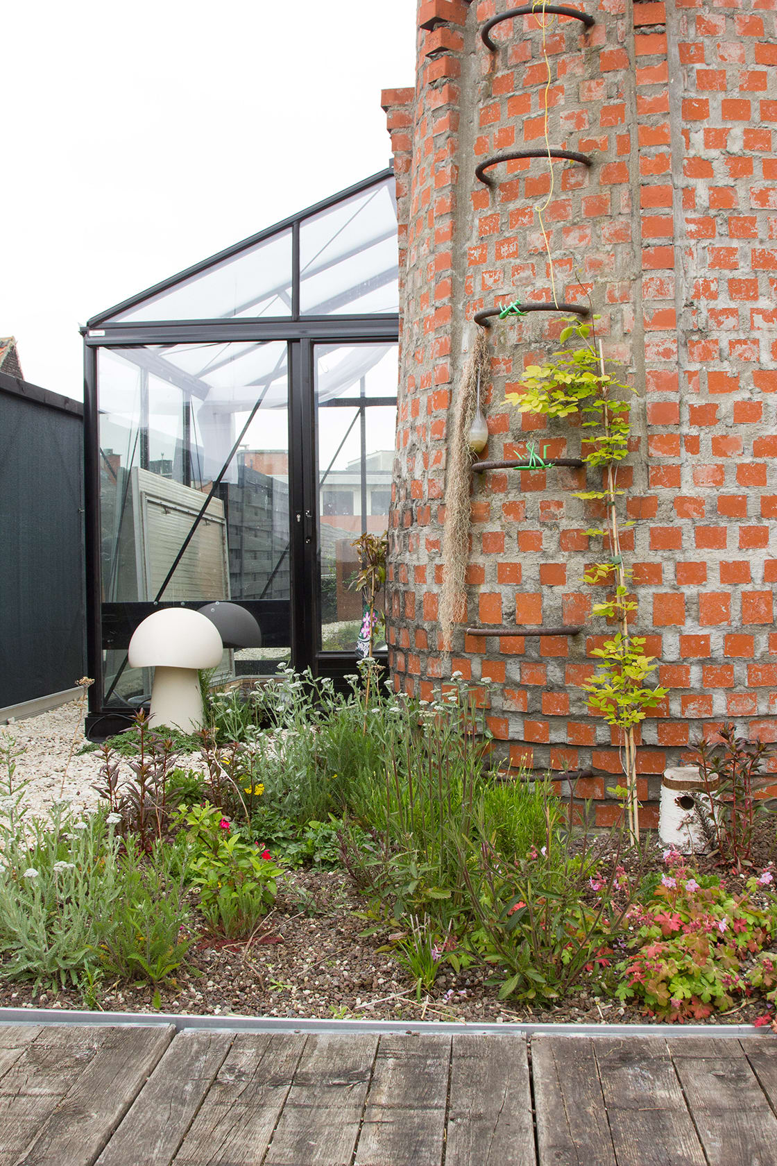 Semi-intensief groendak in Gent, foto 3