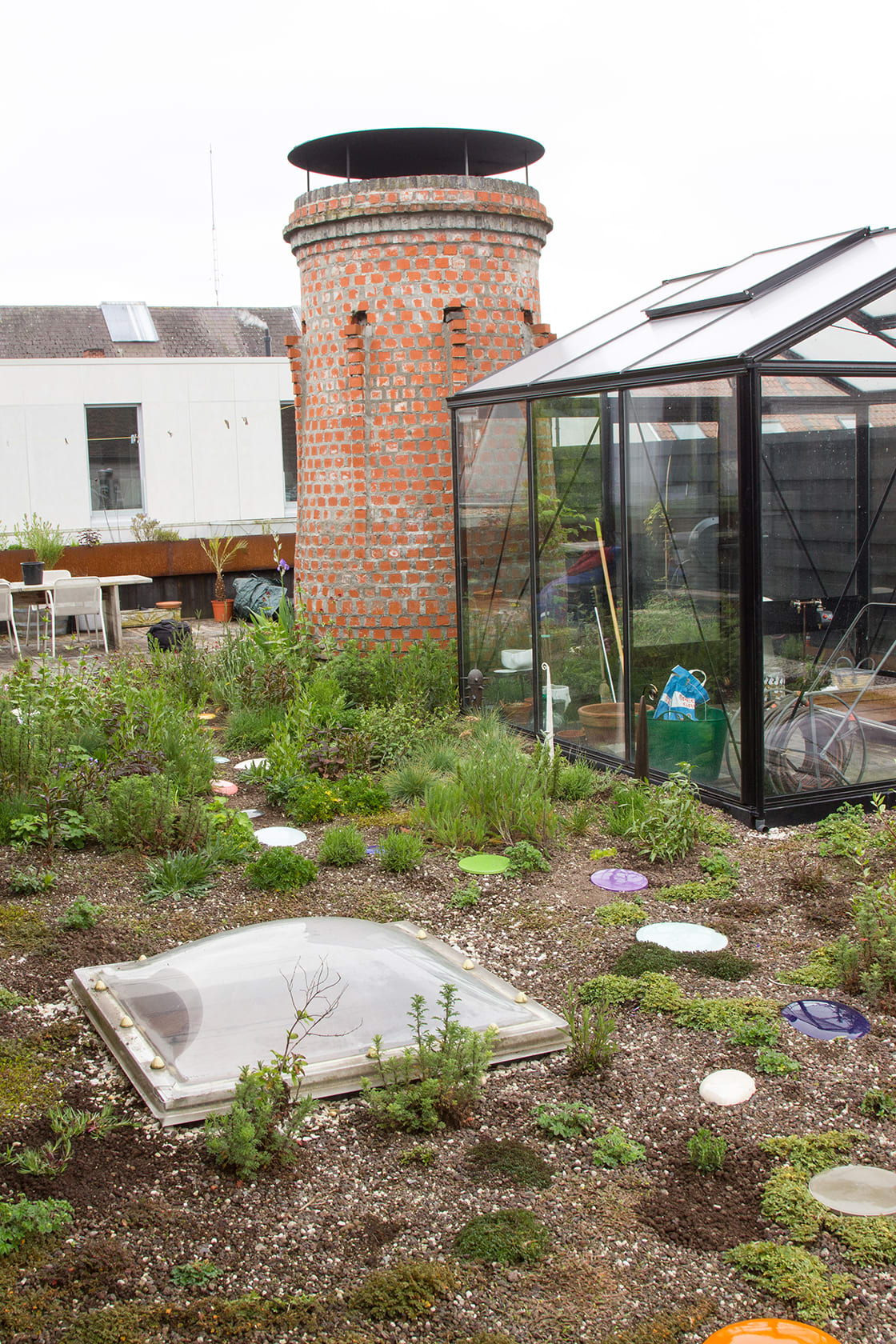 Semi-intensief groendak in Gent, foto 5