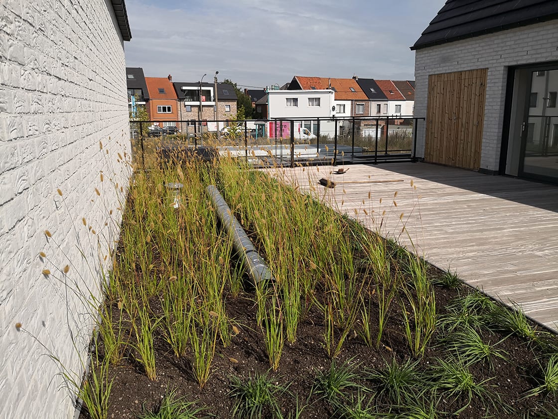 Semi-intensief groendak in Destelbergen, foto 2