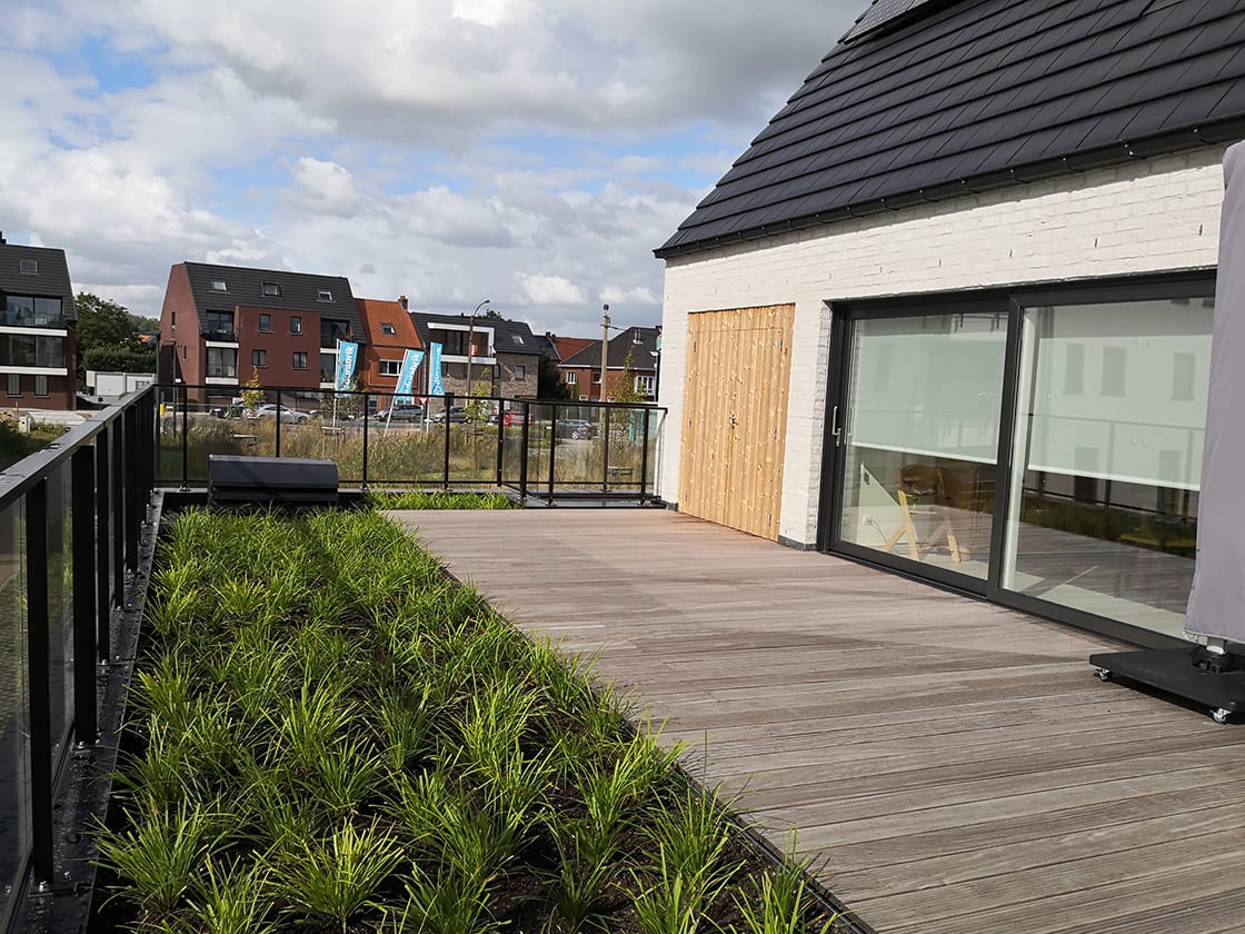 Semi-intensief groendak in Destelbergen, foto 3
