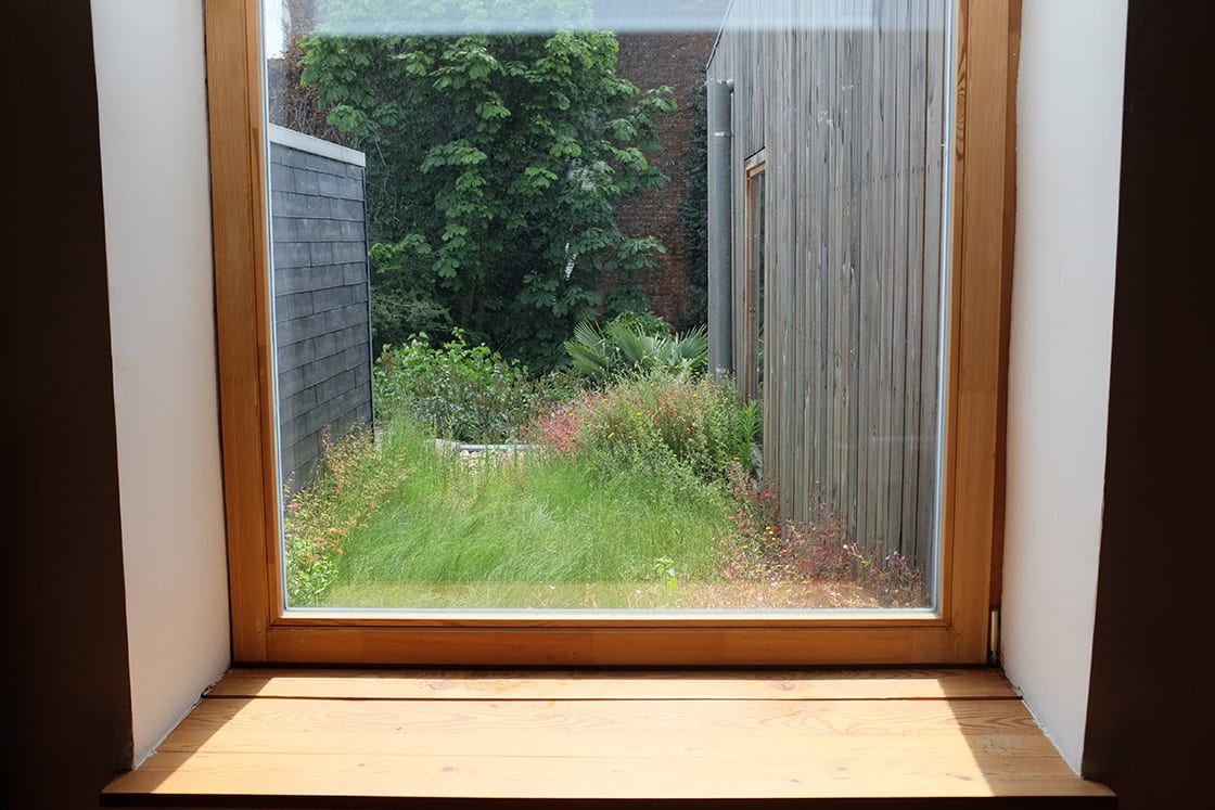 Natuurdak in Berchem, foto 2