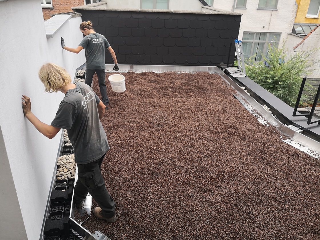 Daktuin in Gent, foto 6