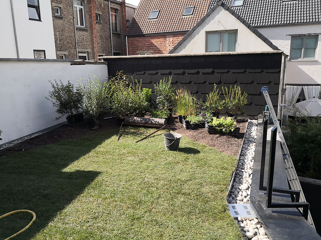 Daktuin in Gent, foto 4