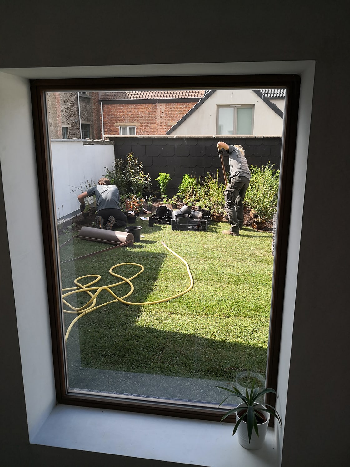 Daktuin in Gent, foto 3