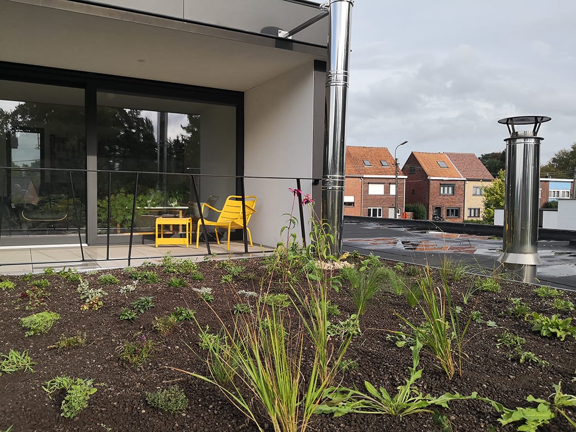 Natuurdak in Oostakker, foto 6