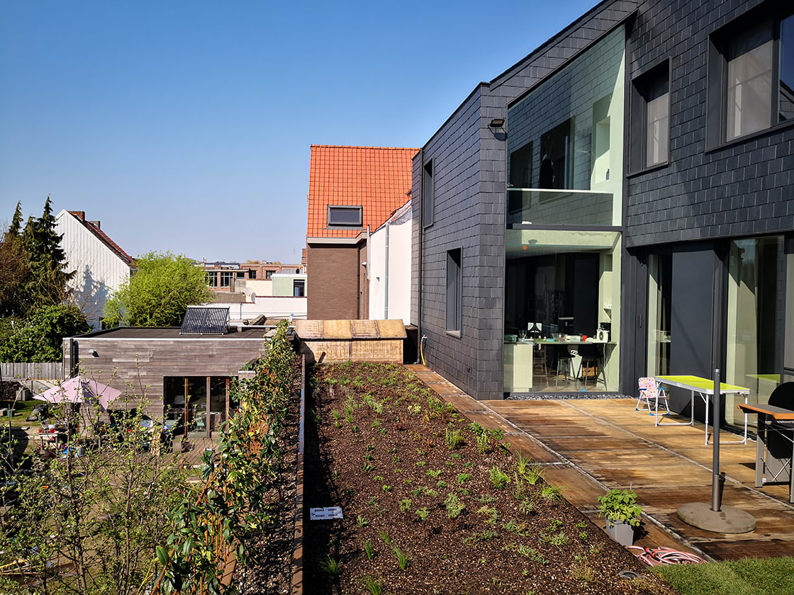Daktuin in Gent, foto 5