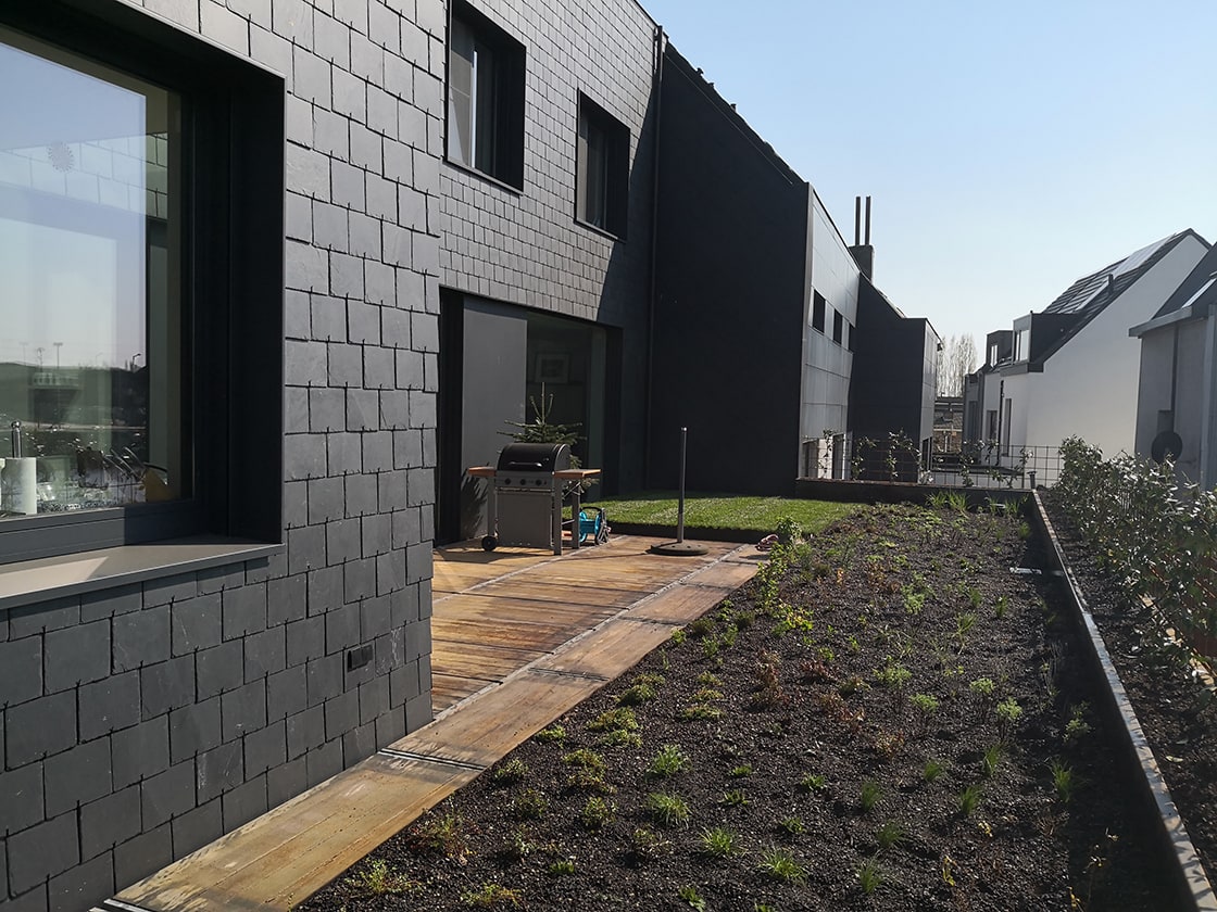 Daktuin in Gent, foto 6