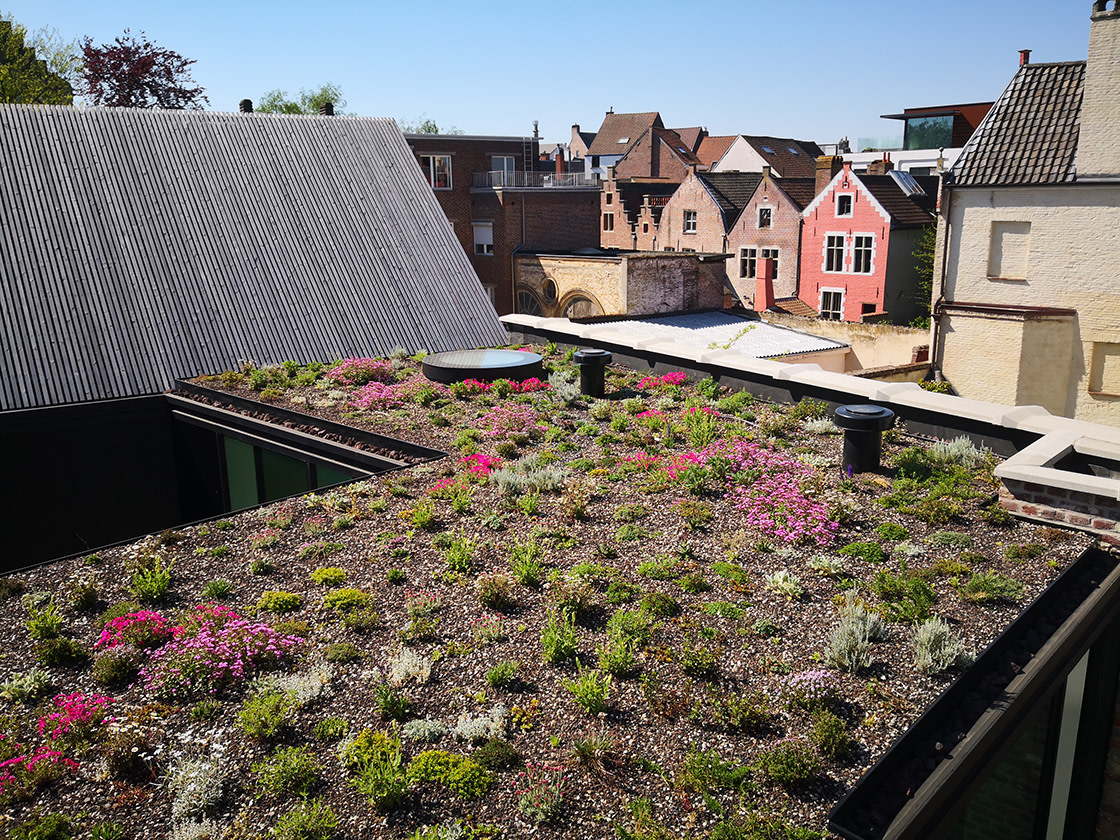 Natuurdak in Gent, foto 6