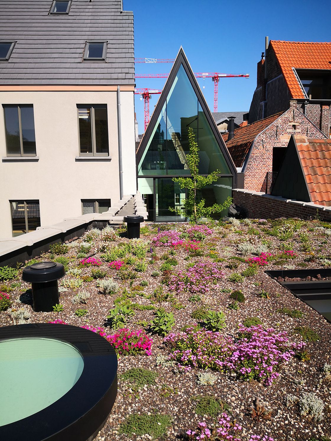 Natuurdak in Gent, foto 5