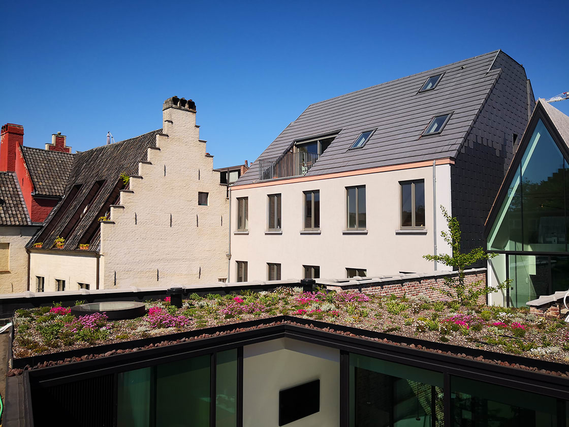 Natuurdak in Gent, foto 7