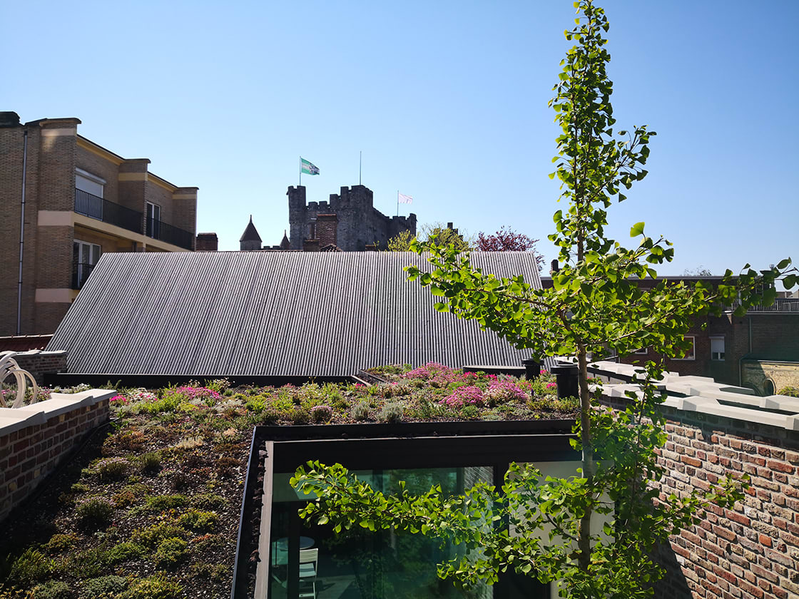 Natuurdak in Gent, foto 8