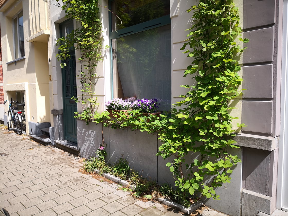 Groenslingers, Stad Gent, foto 2