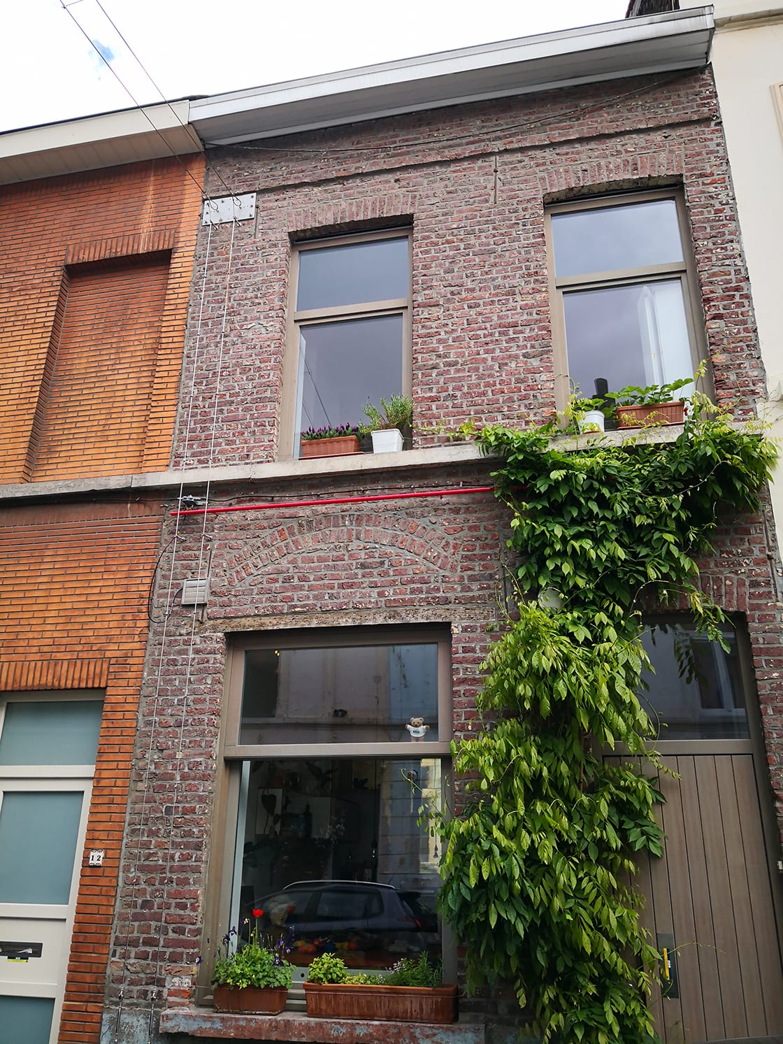 Groenslingers, Stad Gent, foto 3