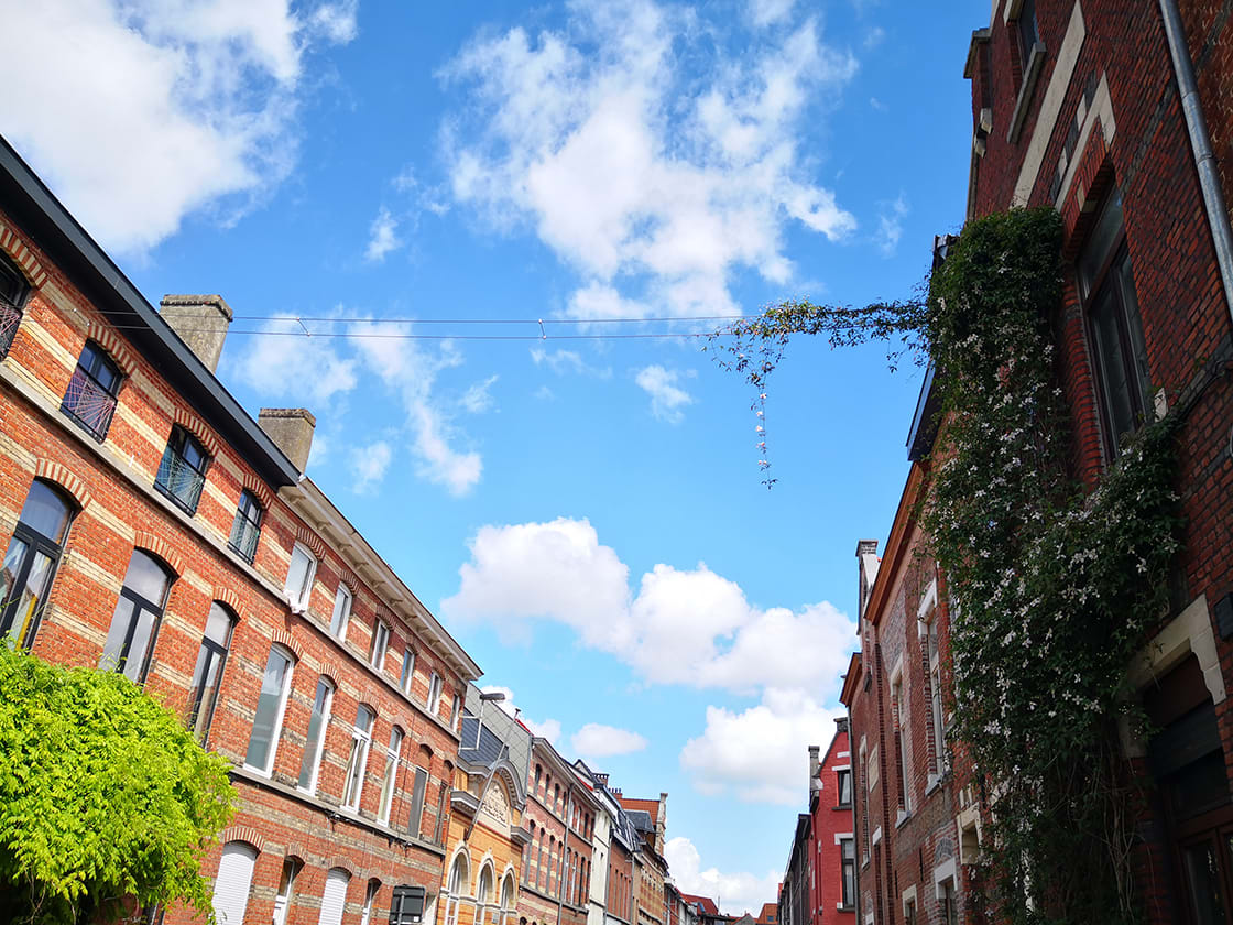 Groenslingers, Stad Gent, foto 5