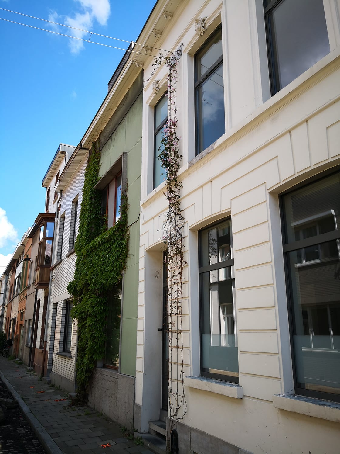 Groenslingers, Stad Gent, foto 6