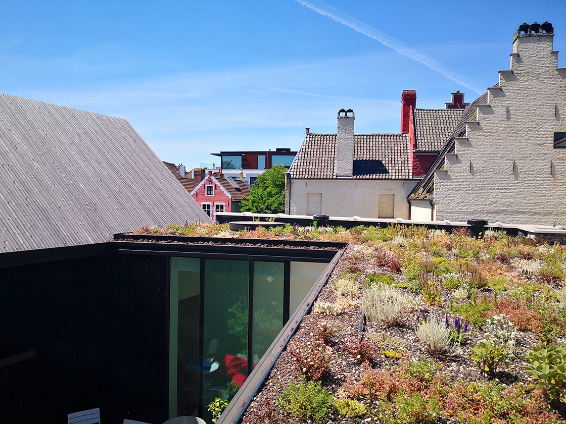 Natuurdak in Gent, foto 9