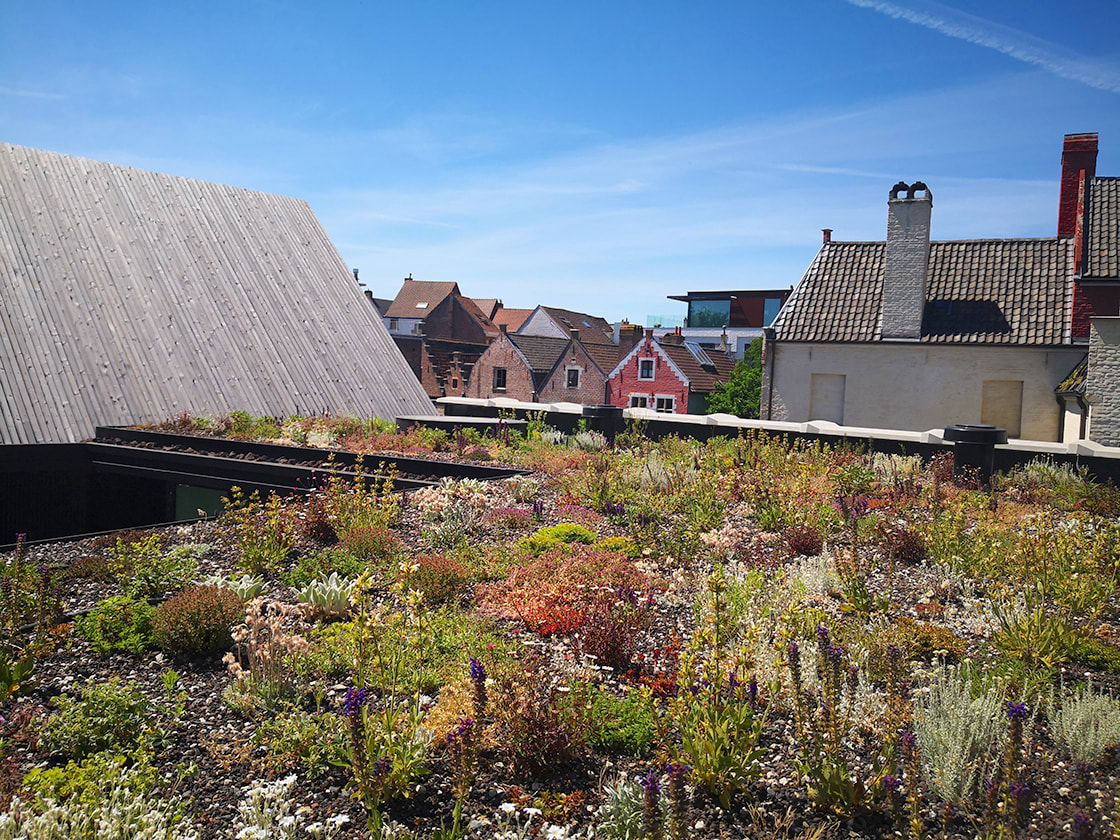 Natuurdak in Gent, foto 10