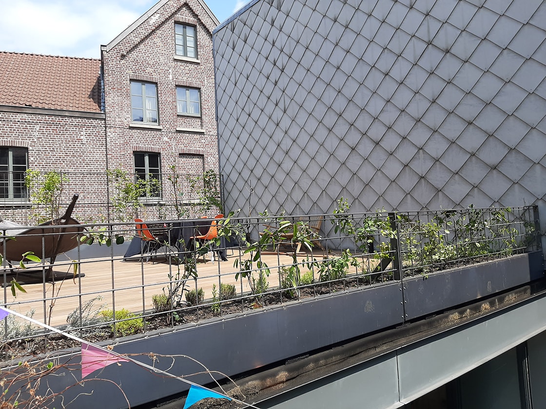 Amandina, Gent, foto 2
