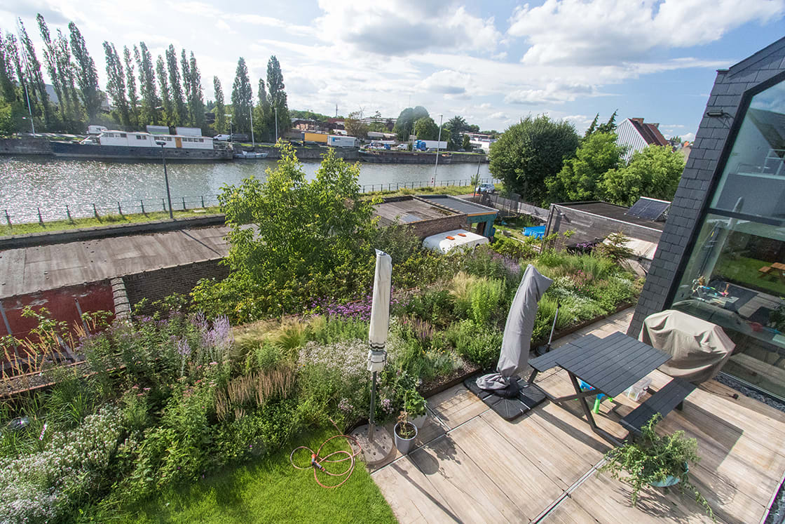 Daktuin in Gent, foto 3