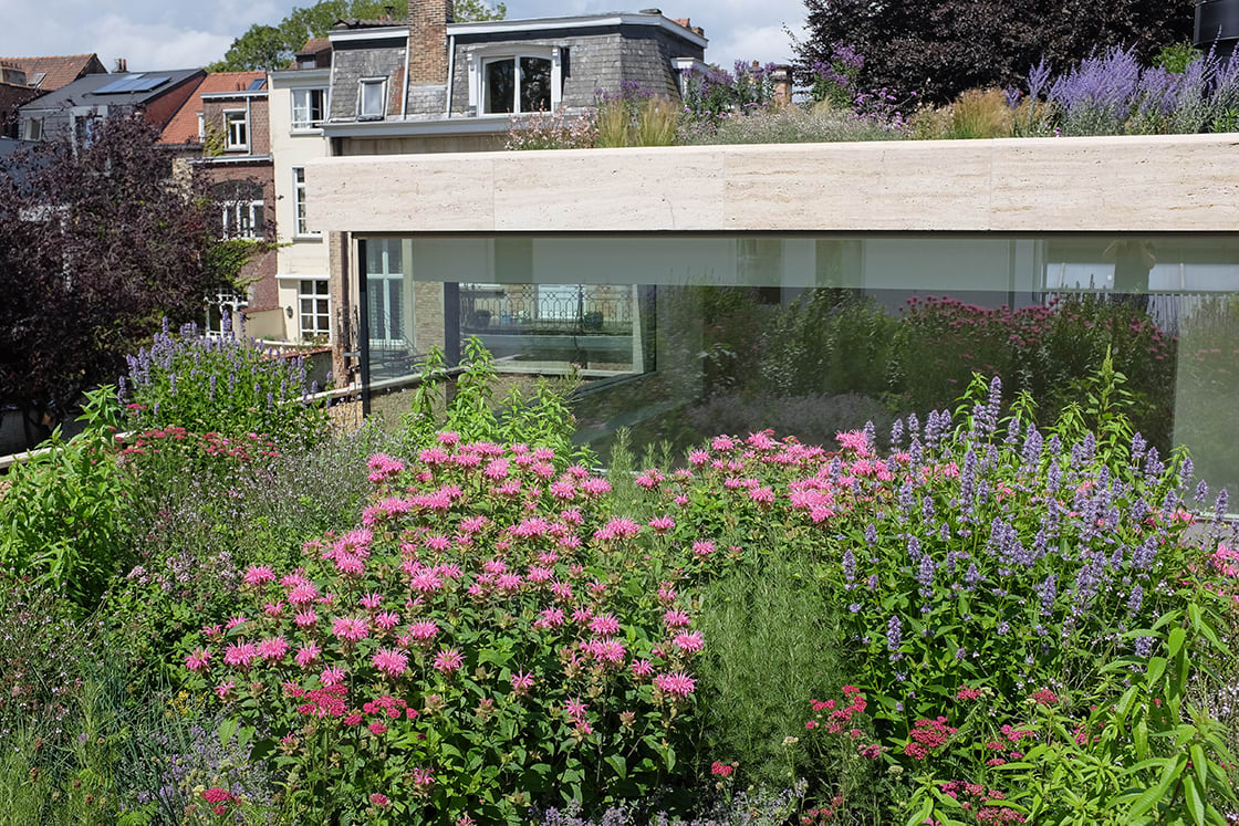 Semi-intensief groendak in Elsene, foto 8
