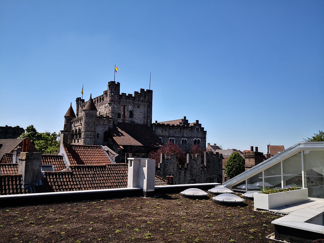 Sedumdak in Gent, foto 6