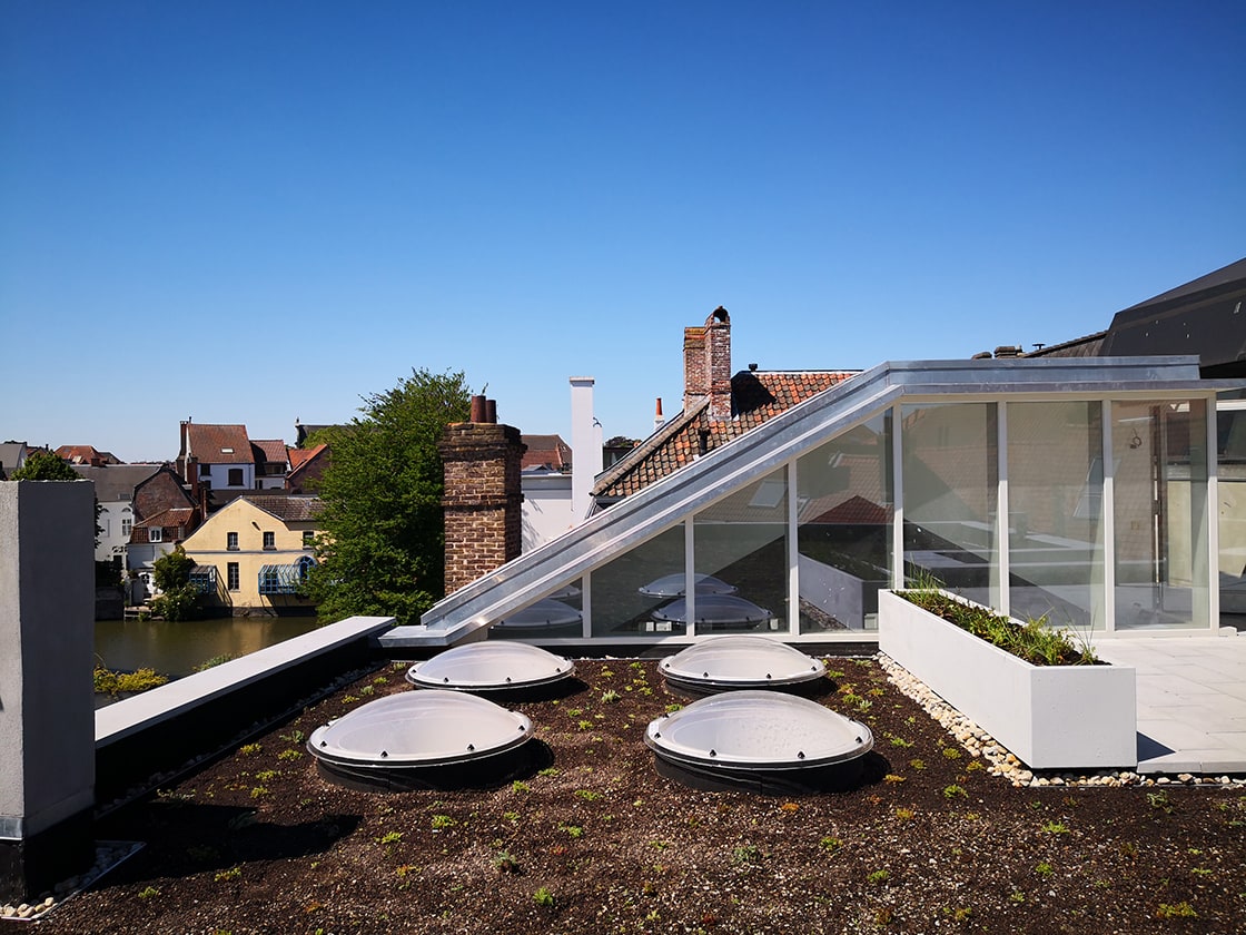 Sedumdak in Gent, foto 8