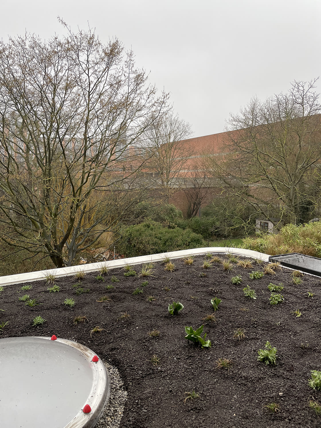 Natuurdak in Leuven, foto 5