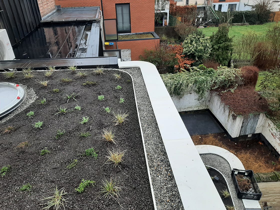 Natuurdak in Leuven, foto 6