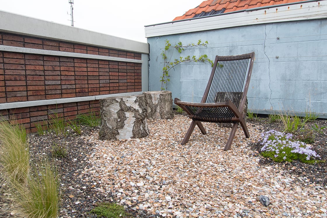 Daktuin in Gent, foto 8