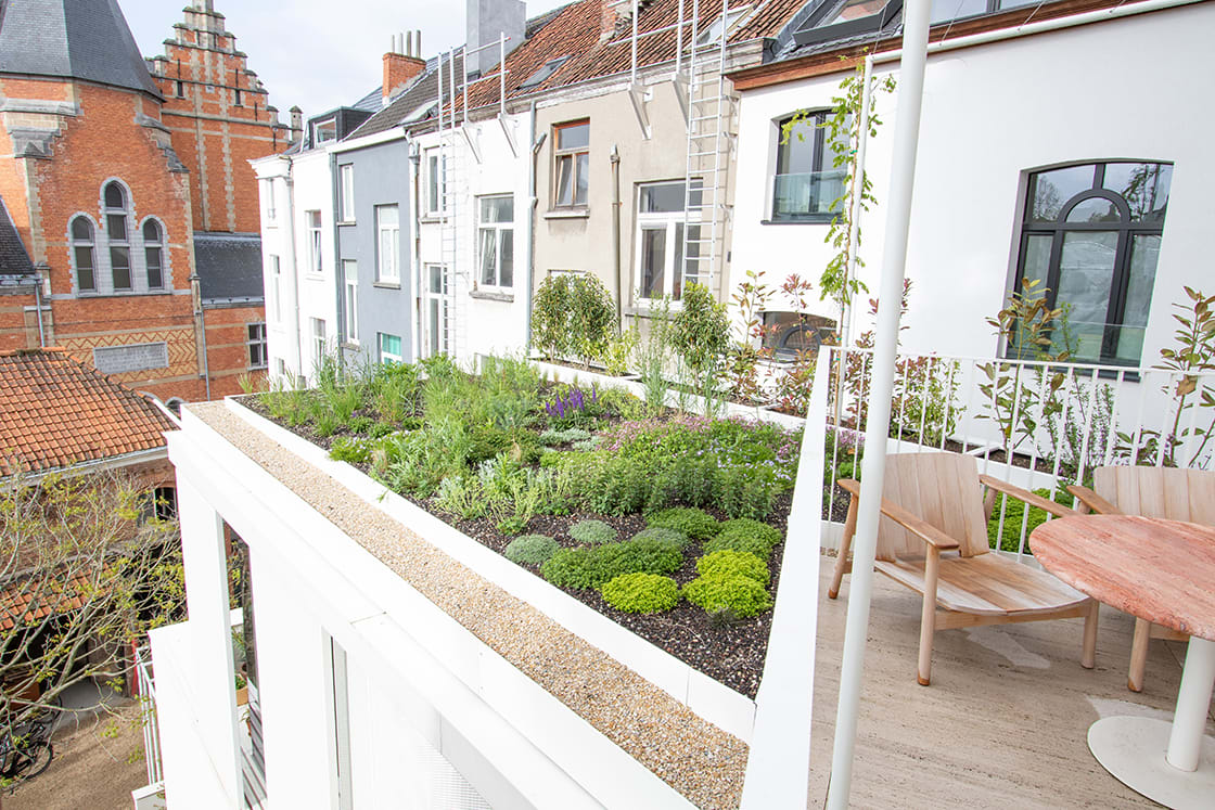Semi-intensief groendak in Gent, foto 3