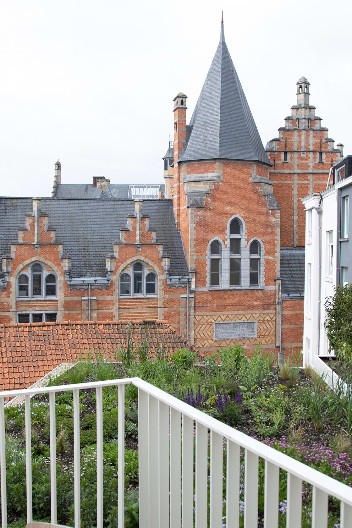 Semi-intensief groendak in Gent, foto 4