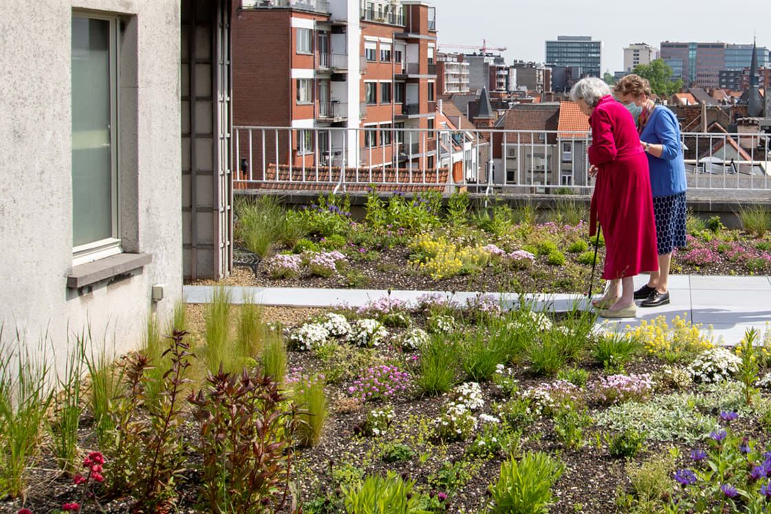 Semi-intensief groendak in Gent, foto 9