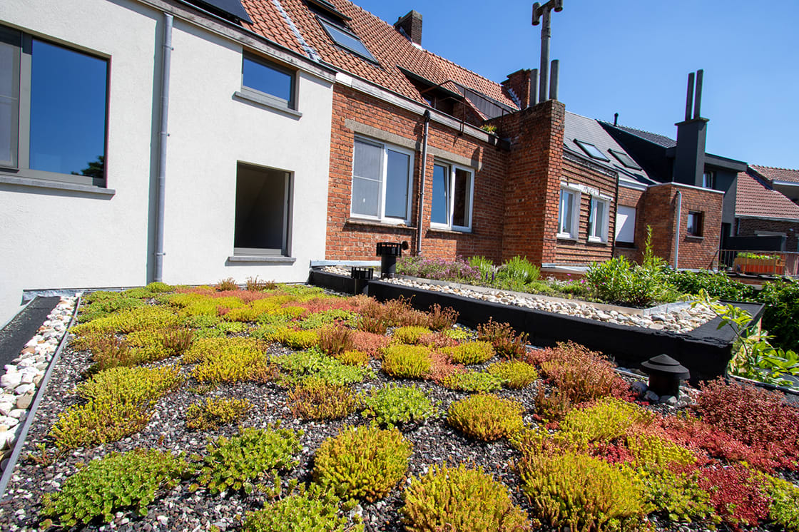 Natuurdak in Gent, foto 3
