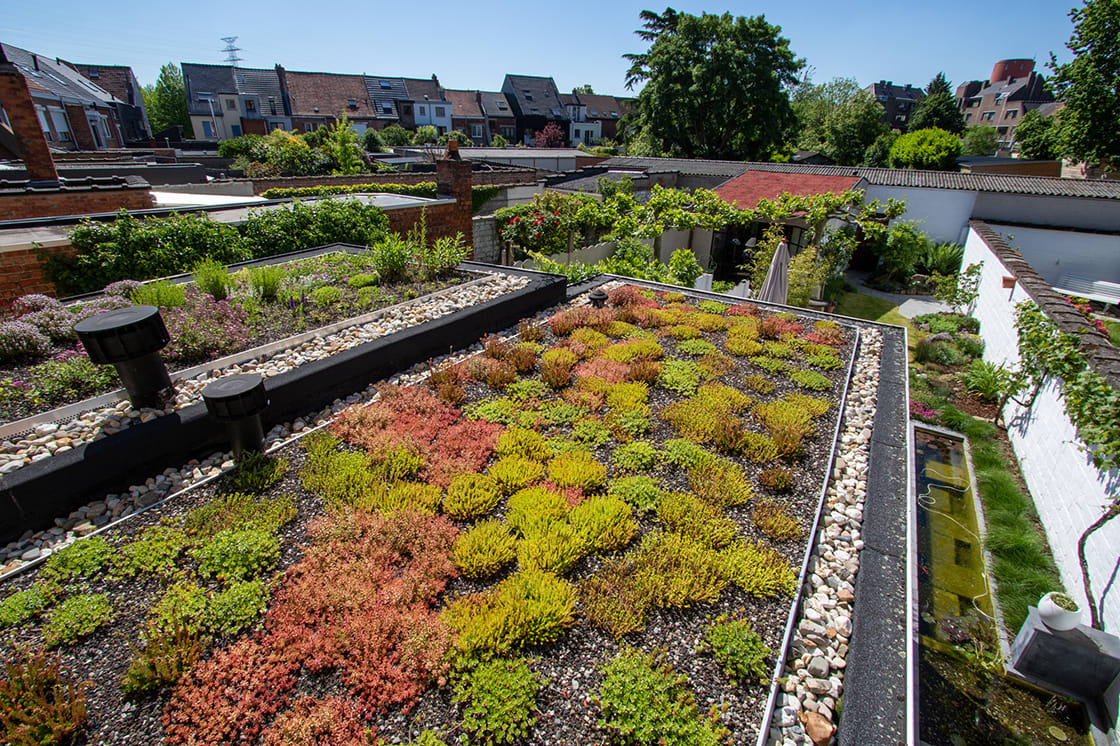 Natuurdak in Gent, foto 4