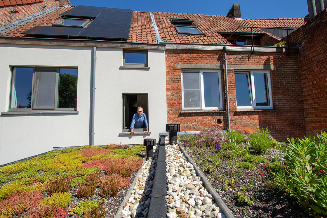 Natuurdak in Gent, foto 5