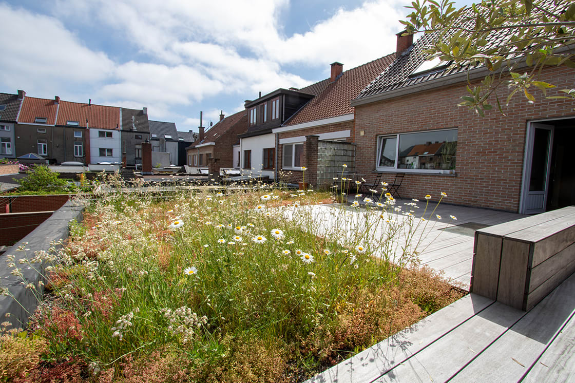 Natuurdak in Gent, foto 2