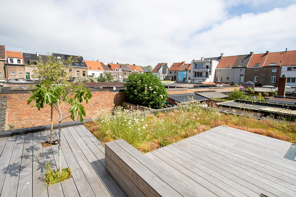 Natuurdak in Gent, foto 3