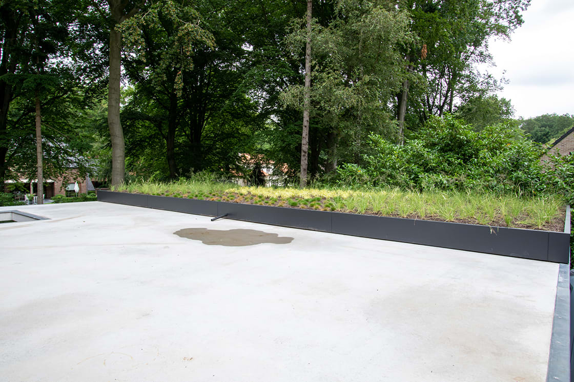 Semi-intensief groendak in Aalter, foto 11