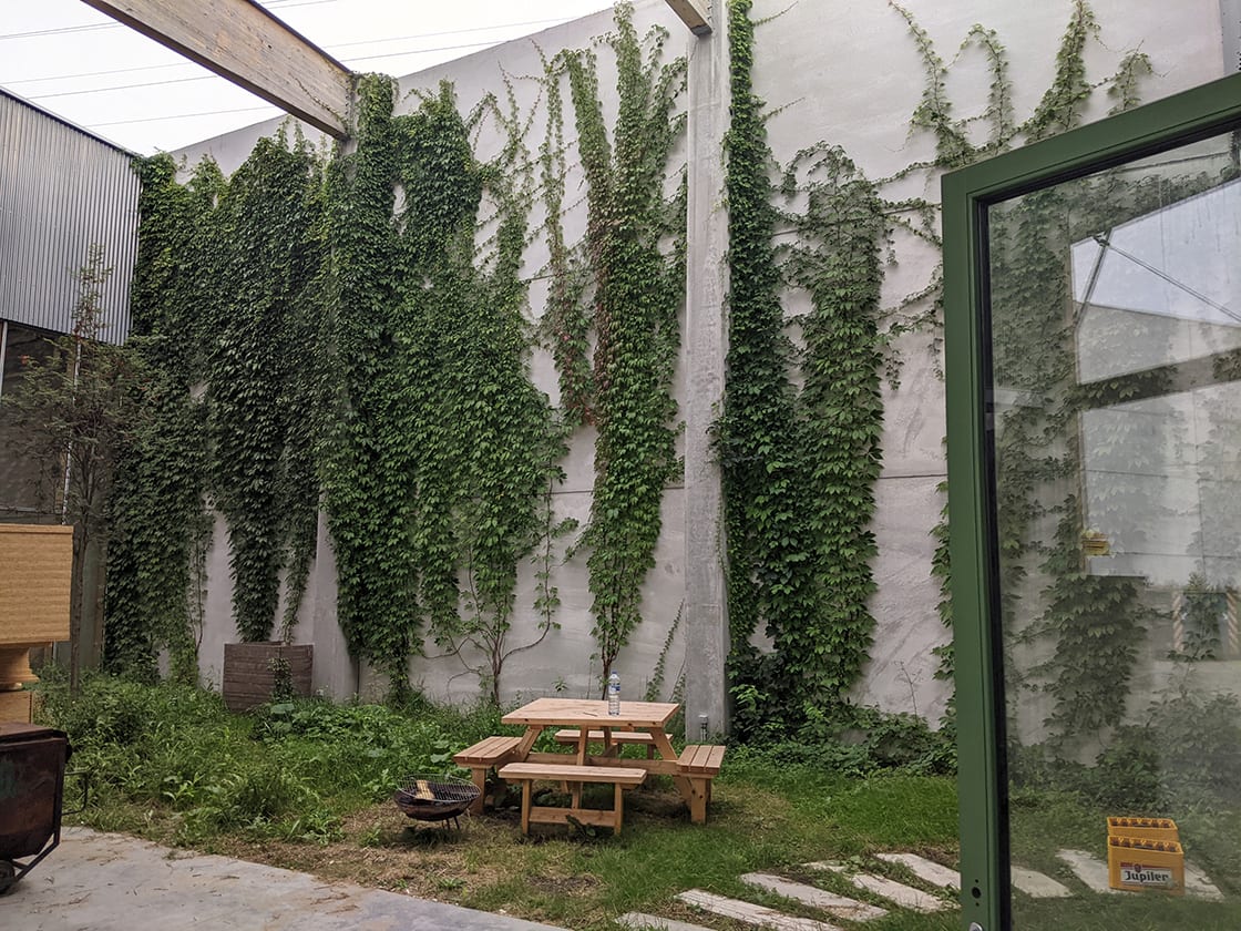 Groengevel in Gent, foto 5