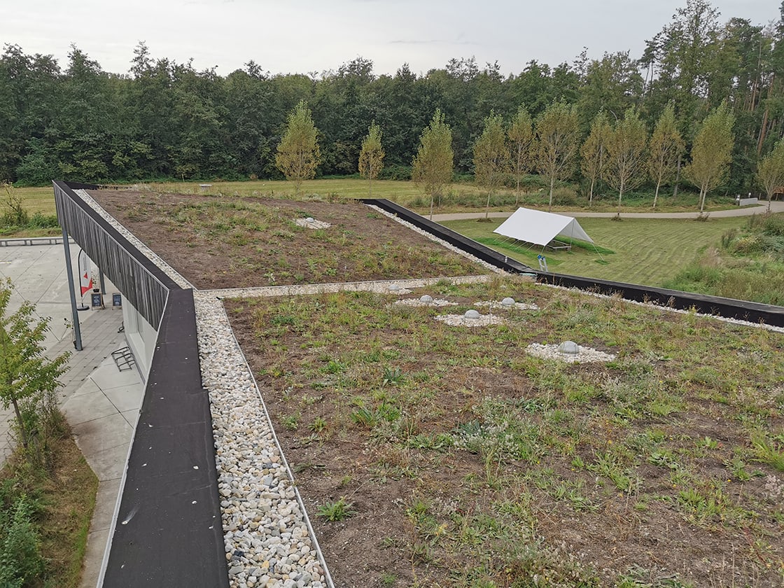 De Averegten, Hallaar, foto 3