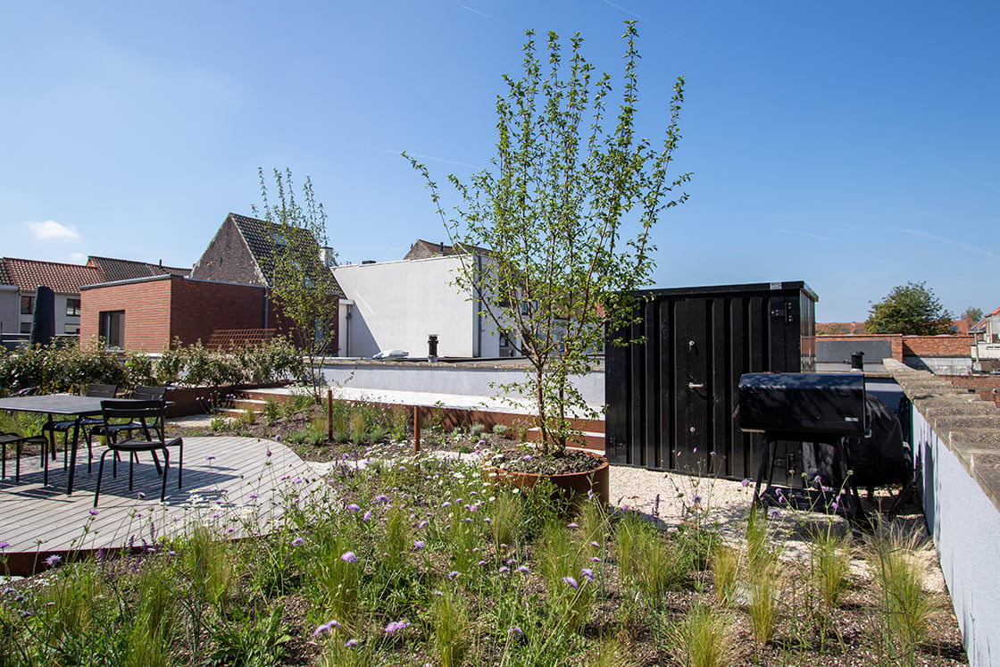 Daktuin in Gent, foto 2