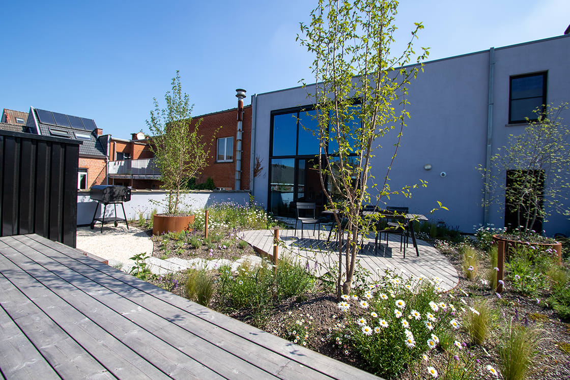 Daktuin in Gent, foto 4